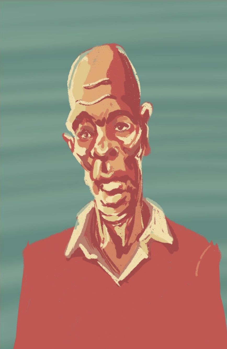 Portraits in colour — portrait illustration